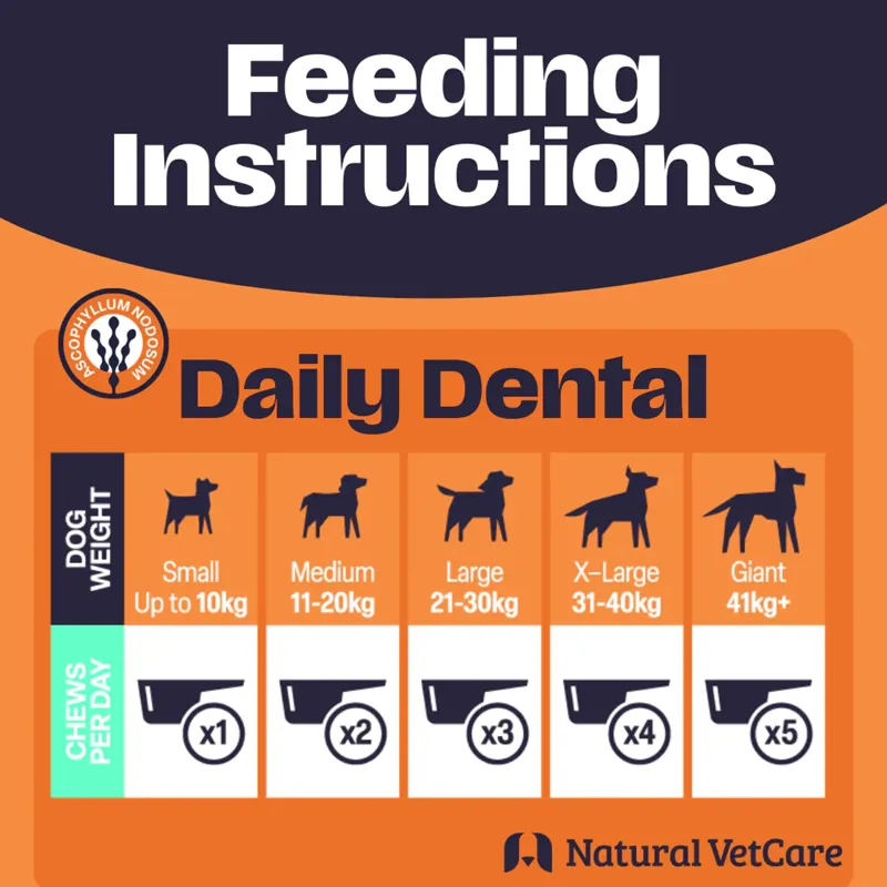 NAF Daily Dental 133 Days - 200g-1