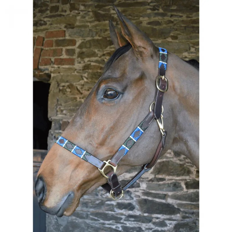 Chukka Polo Leather Headcollar - Navy/Green/Champagne