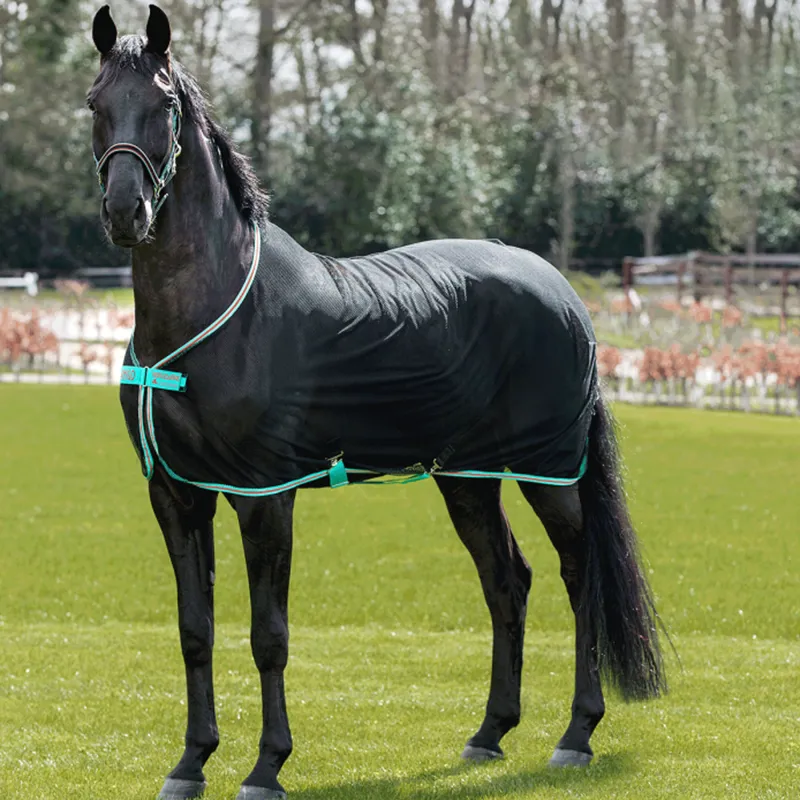 Horseware Amigo Net Cooler - Black/Teal/Dark Cherry
