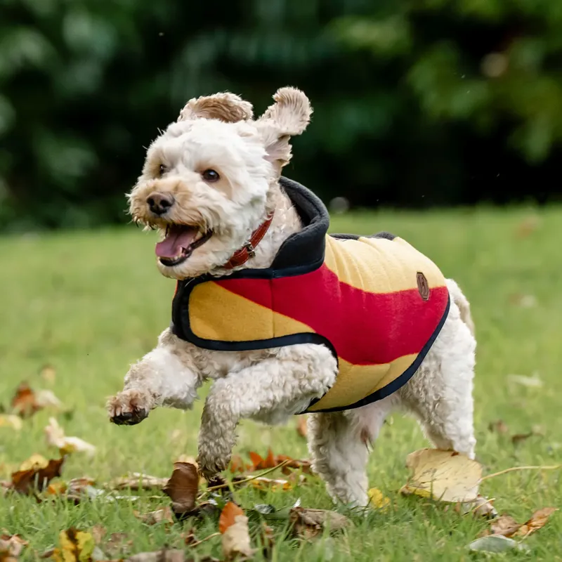 Horseware Newmarket Dog Fleece - Witney Gold-2