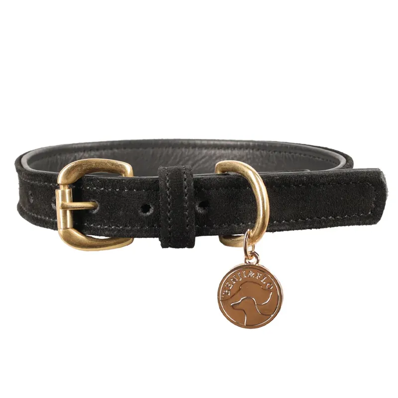 Benji and Flo Noble Suede Dog Collar - Black/Gold