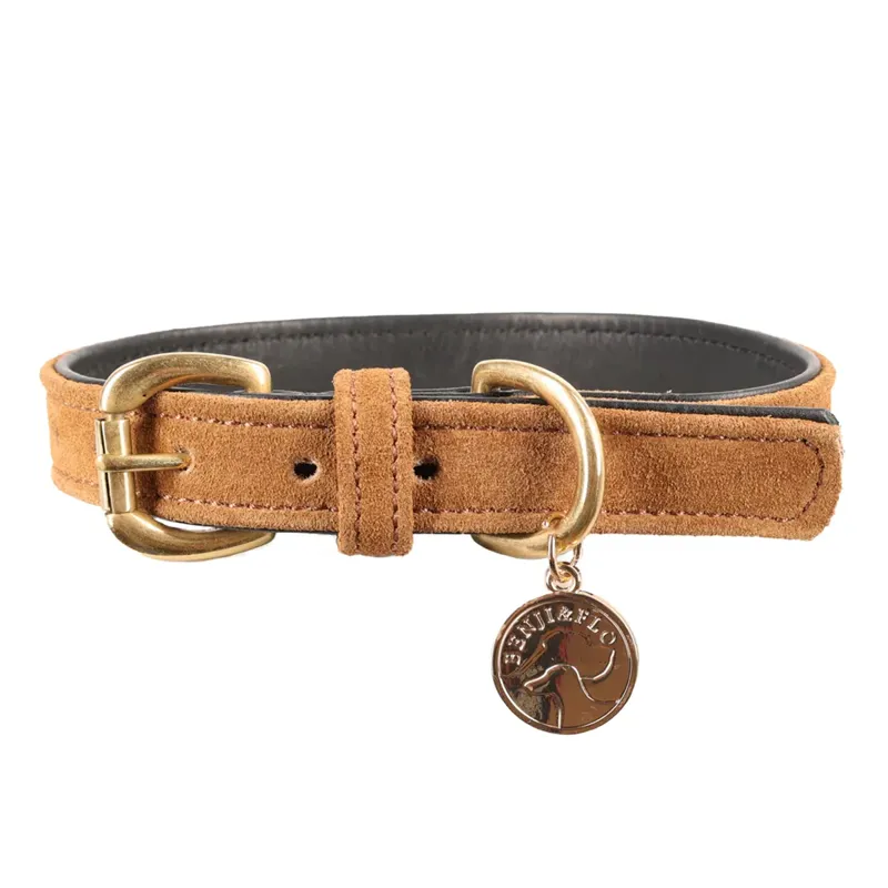 Benji and Flo Noble Suede Dog Collar - Tan/Gold