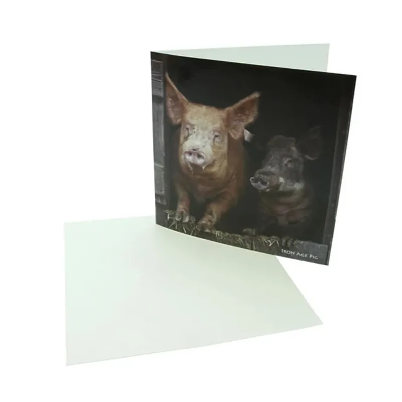 Countryside Greetings Sound Card - Iron Age Pig