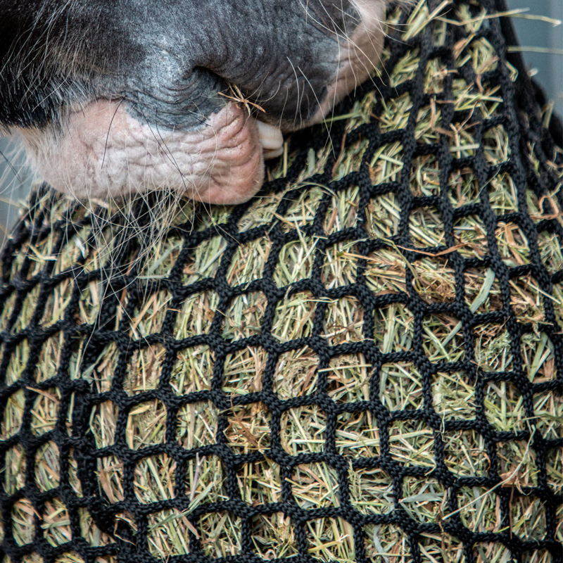 Equilibrium PortionPacer Haynet Slow Feeder - Black-7