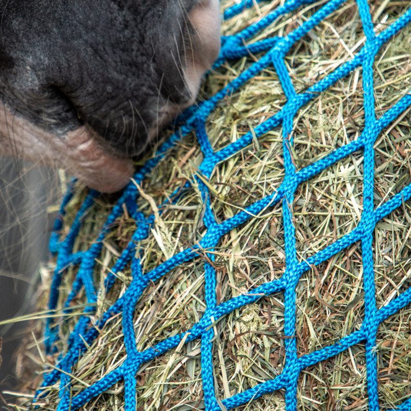 Equilibrium PortionPacer Haynet Steady Feeder - Blue-9