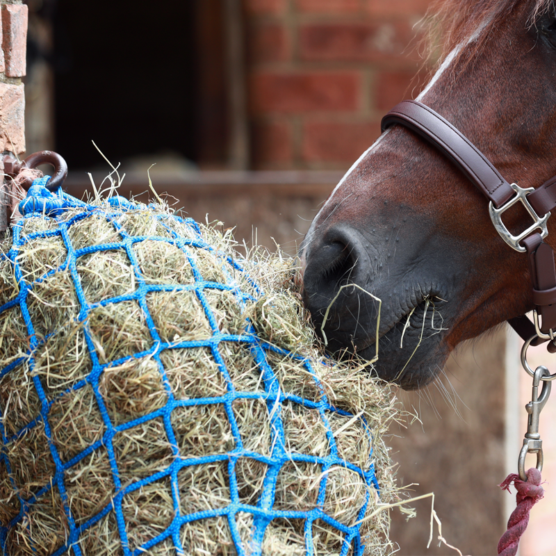 Equilibrium PortionPacer Haynet Steady Feeder - Blue-7