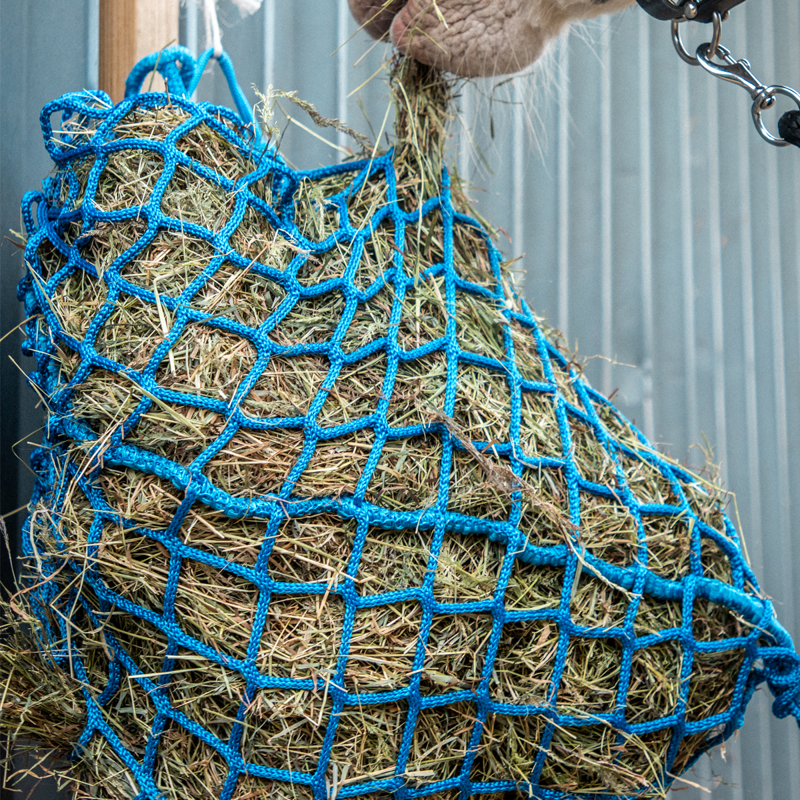 Equilibrium PortionPacer Haynet Steady Feeder - Blue-6