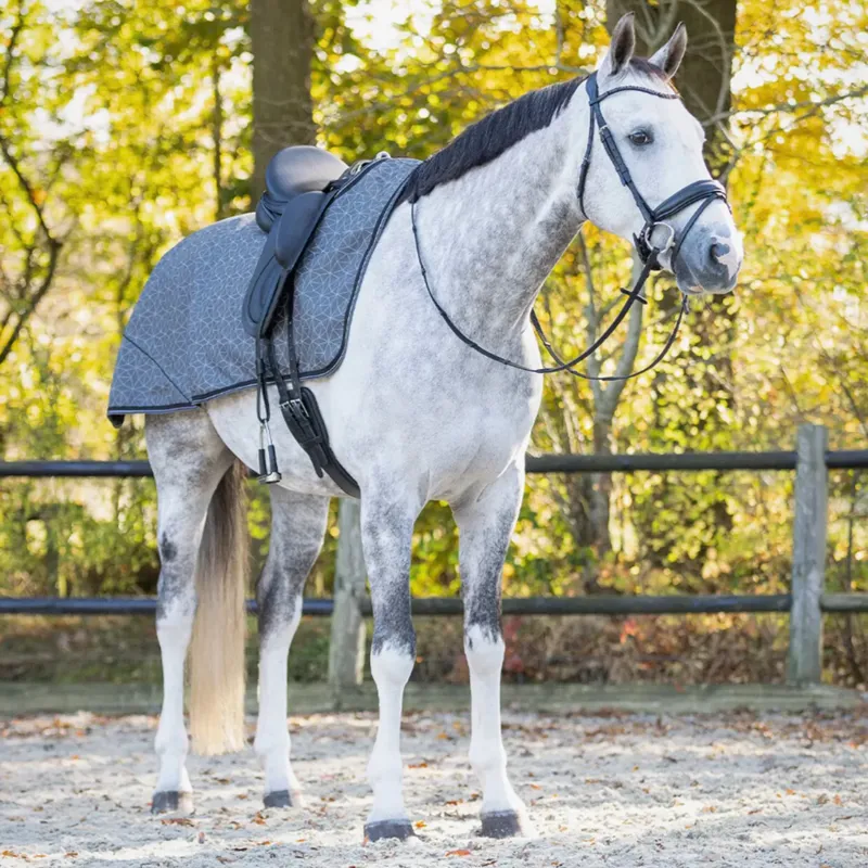 QHP Turnout Collection Exercise Sheet - Grey Reflective-1