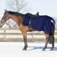 QHP Fleece Ornament Exercise Rug - Blue/Silver