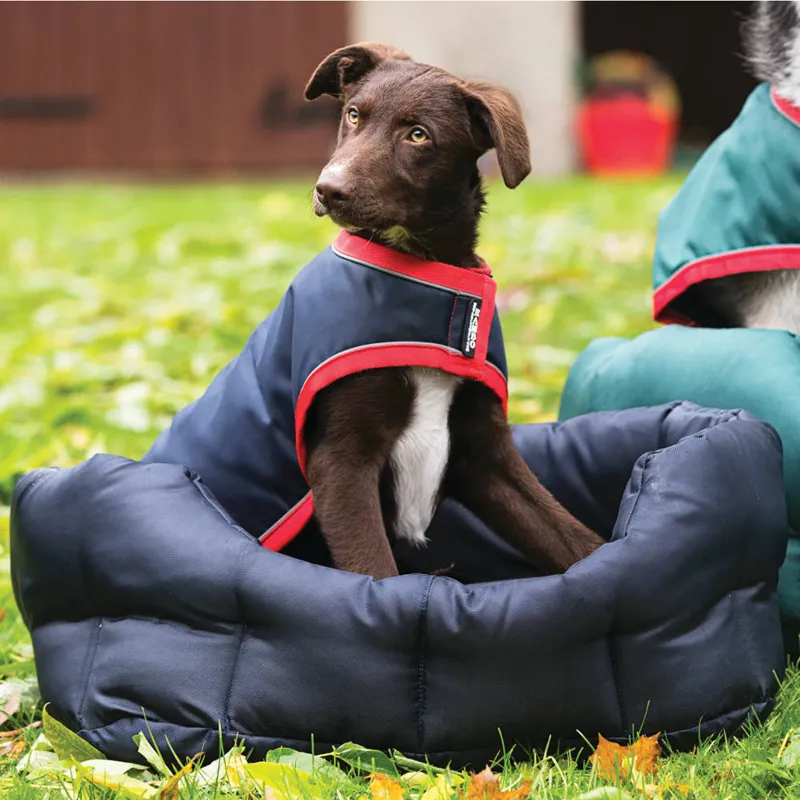 Horseware Rambo Dog Bed - Navy