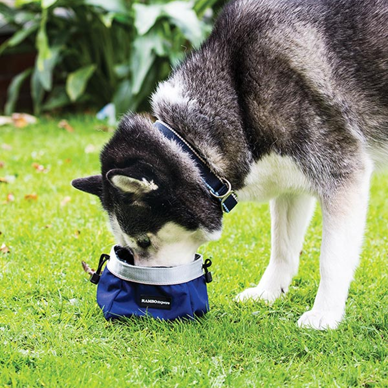 Horseware Rambo Dog Feed Bowl - Navy/Silver-1