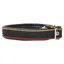 Horseware Rambo Dog Collar - Witney Gold