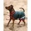 Horseware Rambo Waterproof Dog Rug Coat - Green/Red