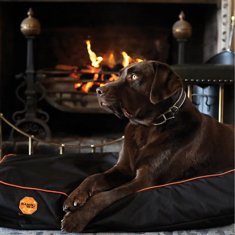 Horseware Rambo Ionic Dog Bed - Black/Black/Orange