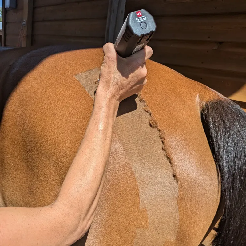 Heiniger Opal Horse Promo Clippers - Free 2nd Blade-3