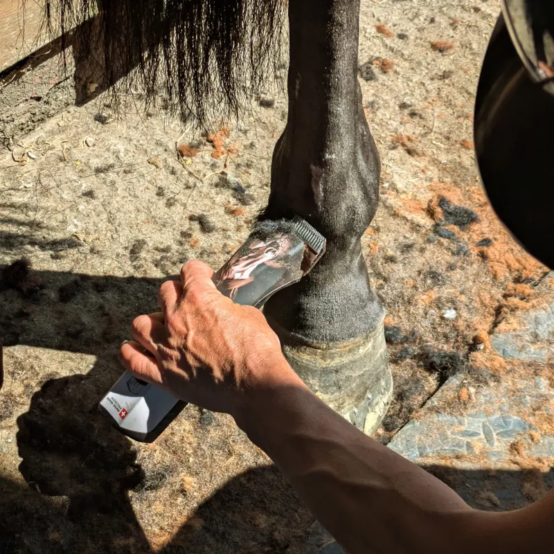 Heiniger Opal Horse Clipper-6