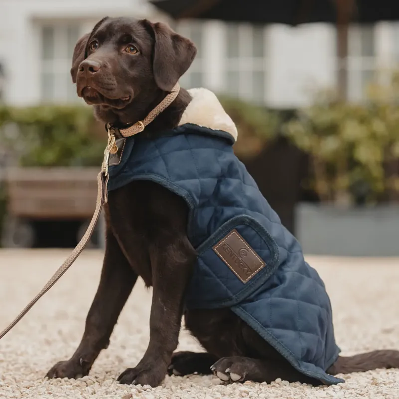 Kentucky Dog Coat - Navy-1