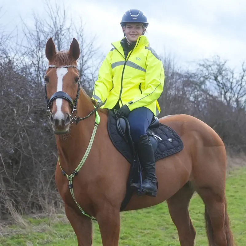 Woof Wear LED Neck Band - Yellow-3