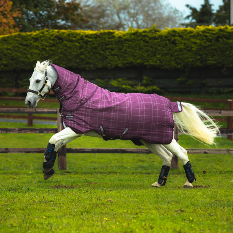 Horseware Rhino Pony Plus Medium Turnout Rug - Berry/Grey/White Check/Berry-1
