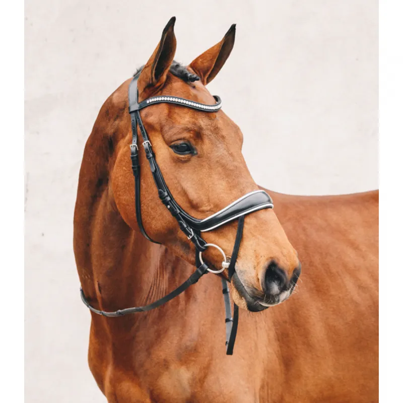 Schockemohle Equitus Beta Bridle - Espresso/Silver-1