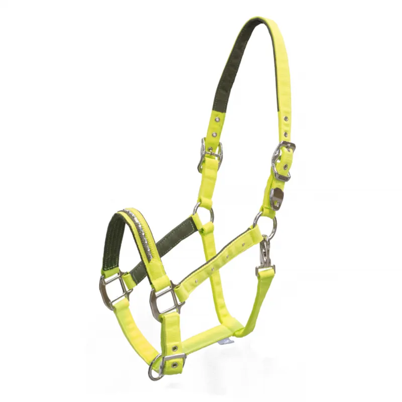 Schockemohle Chrome Nice Headcollar - Spray Kiwi