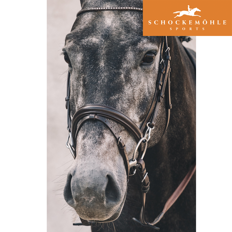 Schockemohle Stuttgart Bridle - Brown/Silver-1