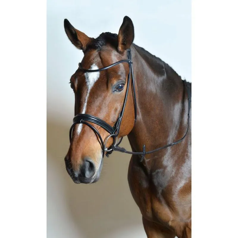 Schockemohle Jackson Rolled Bridle - Espresso/Silver-1