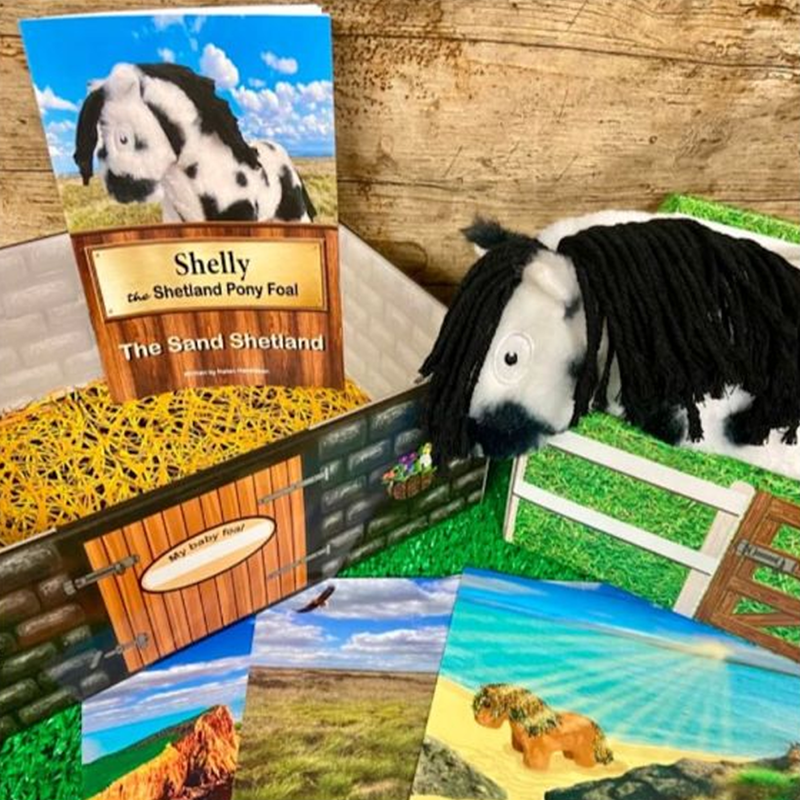 Crafty Ponies 'My New Baby Foal' Collection - Shelly Shetland-1
