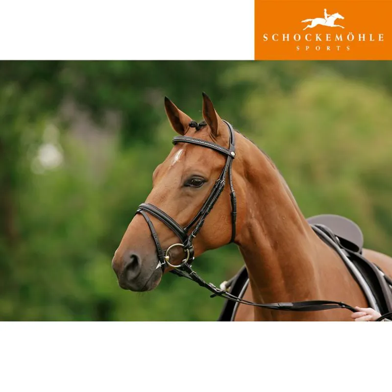 Schockemohle Stockholm-S Flash Bridle - Havana/Gold-1