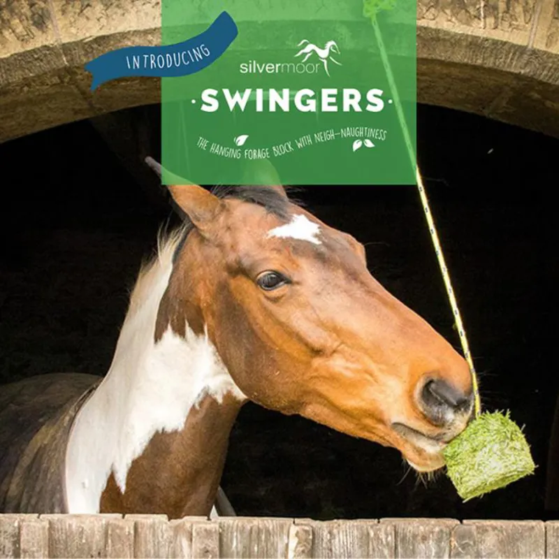 Silvermoor Swingers Hanging Forage Block - Original-1