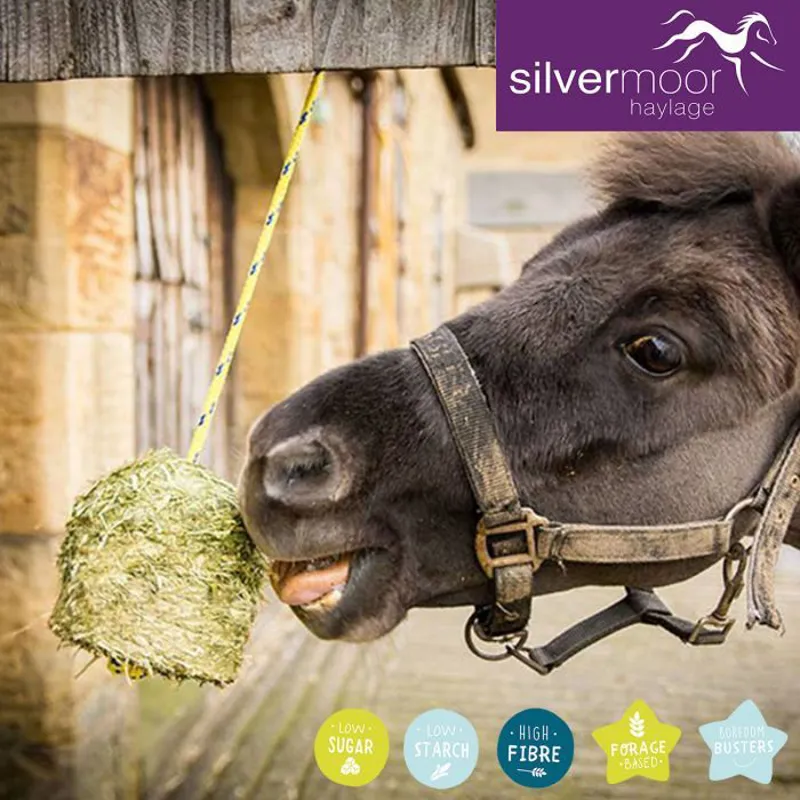 Silvermoor Swingers Hanging Forage Block - Original-2