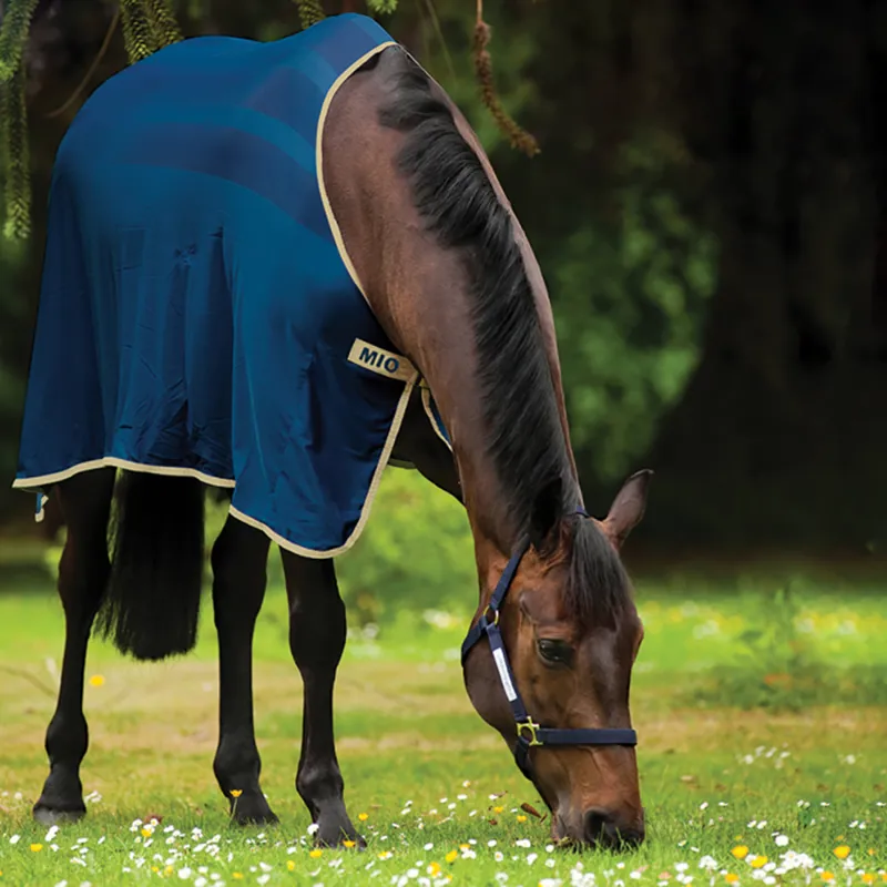 Horseware Amigo Mio Skrim Cooler - Navy/Tan