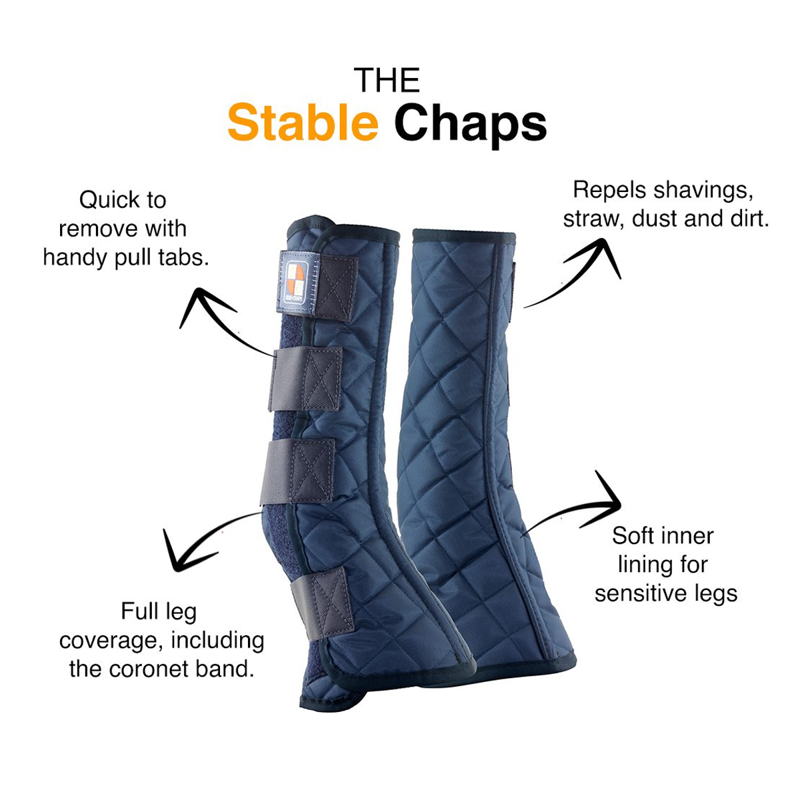 Equilibrium Equi-Chaps Stable Chaps - Navy-2