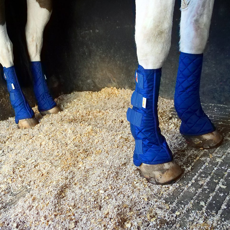 Equilibrium Equi-Chaps Stable Chaps - Navy-1