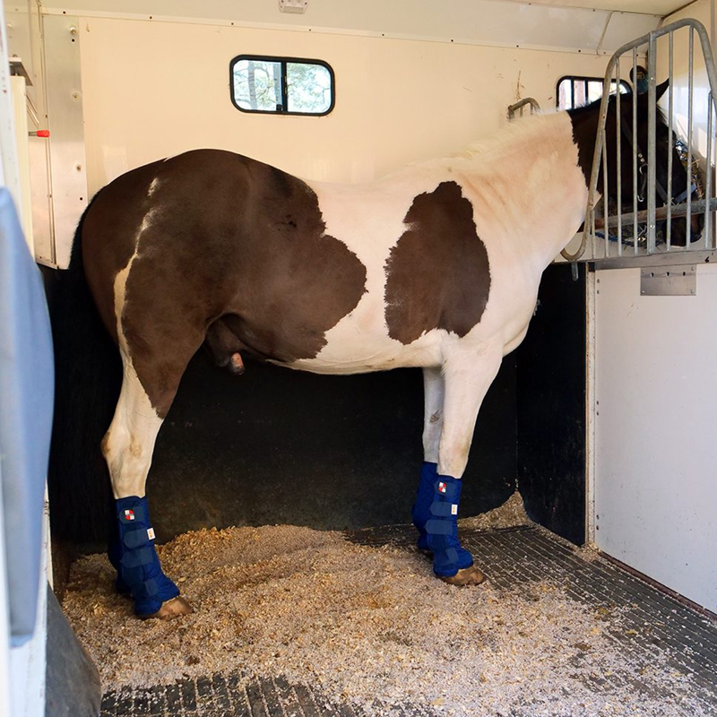 Equilibrium Equi-Chaps Stable Chaps - Navy-3