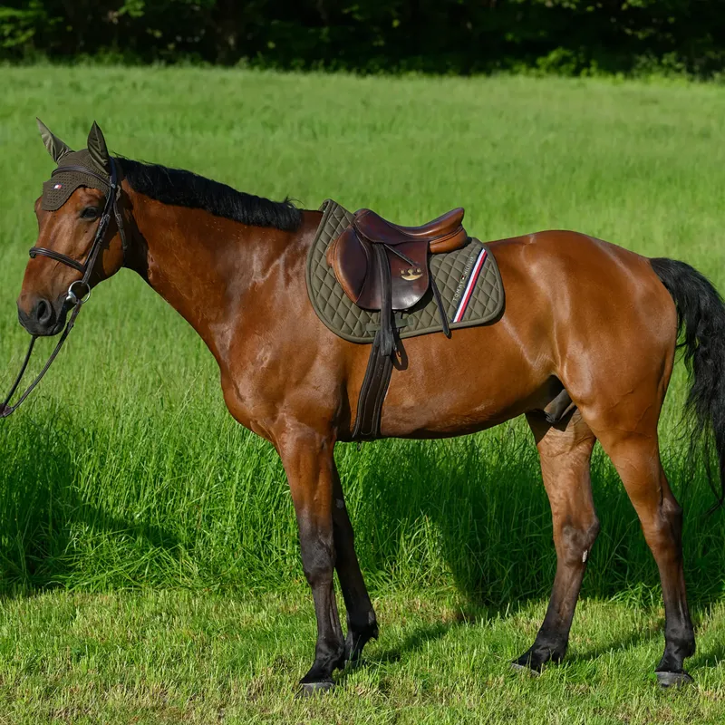 Tommy Hilfiger Stanford Jumping Saddlepad - Utility Olive-7