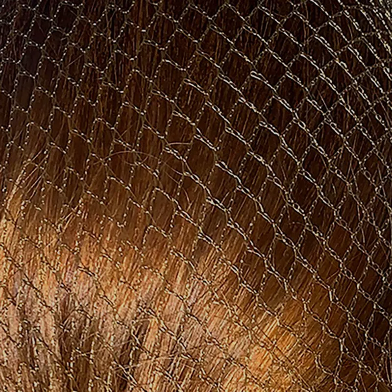 Bitz Twin Pack Standard Hairnets in Medium Brown