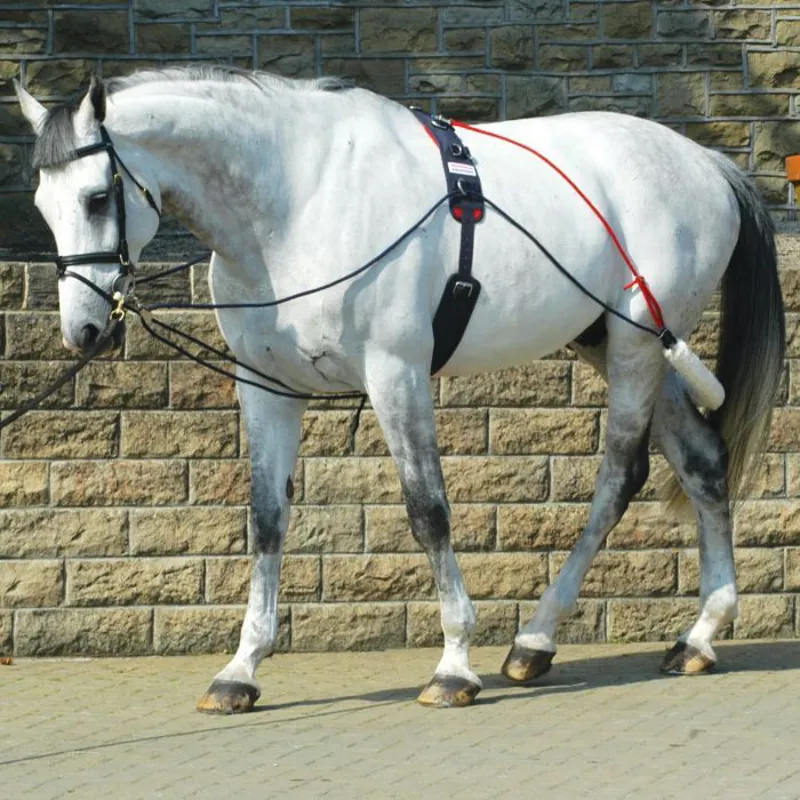 John Whitaker Training Aid-5