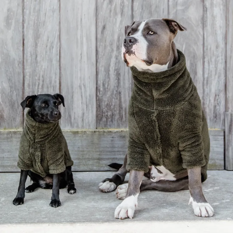 Kentucky Teddy Fleece Sweater Dog Rug - Pine Green-1