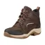 Ariat Telluride II H20 Boot - Dark Brown