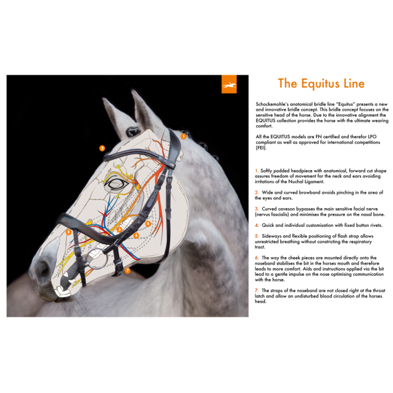 Schockemohle Equitus Beta Bridle - Espresso/Silver-4