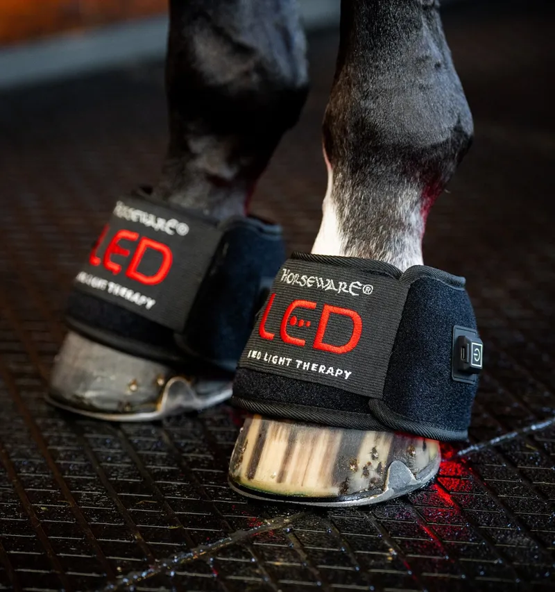 Horseware LED Red Light Therapy Mini Wrap Quad - Black/Black-2
