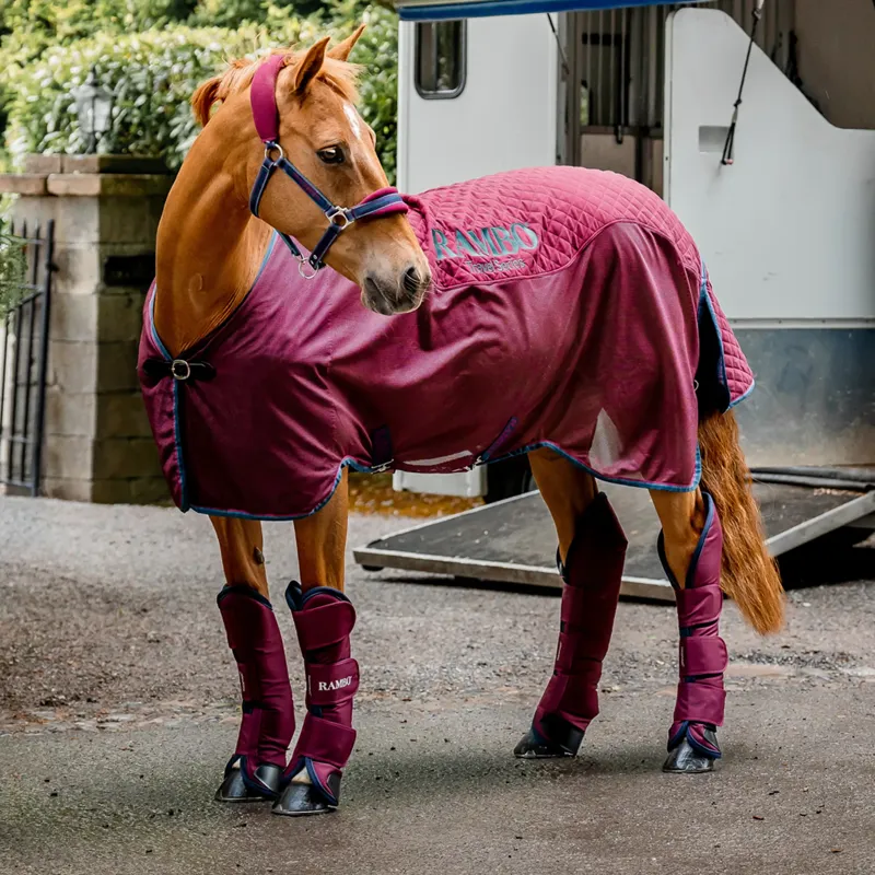 Day 24 - Horseware Rambo Travel Series Rug-2