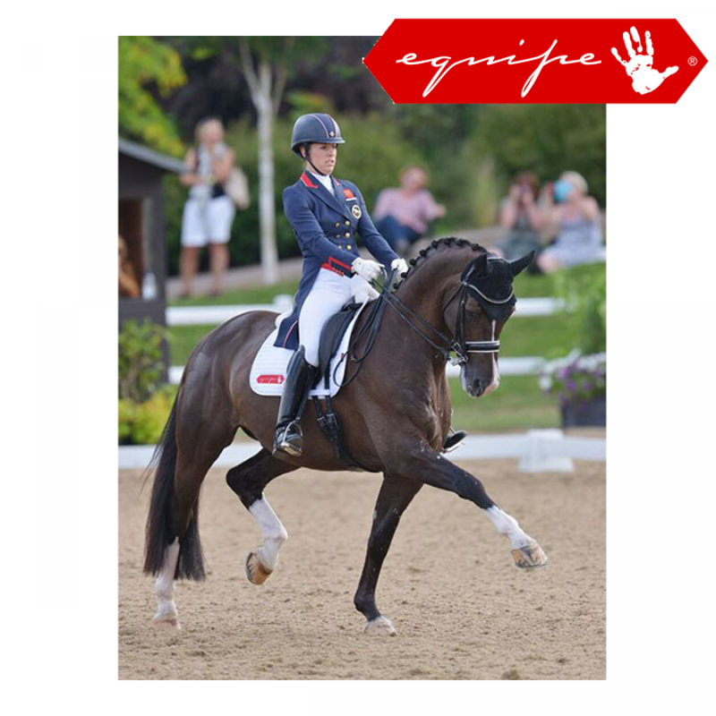 Equipe Olympia Special Single Flap Dressage Saddle 17 +1 - Black-1