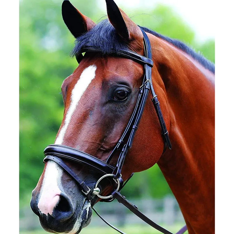 Mark Todd Performance Patent Piped Flash Bridle - Black