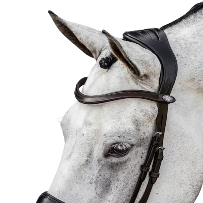 PS Of Sweden Paladin Snaffle Bridle - Black-1