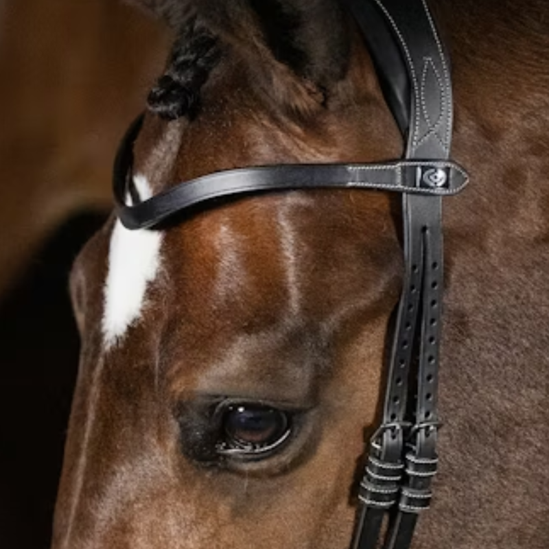 PS of Sweden London Browband - Cob - Black