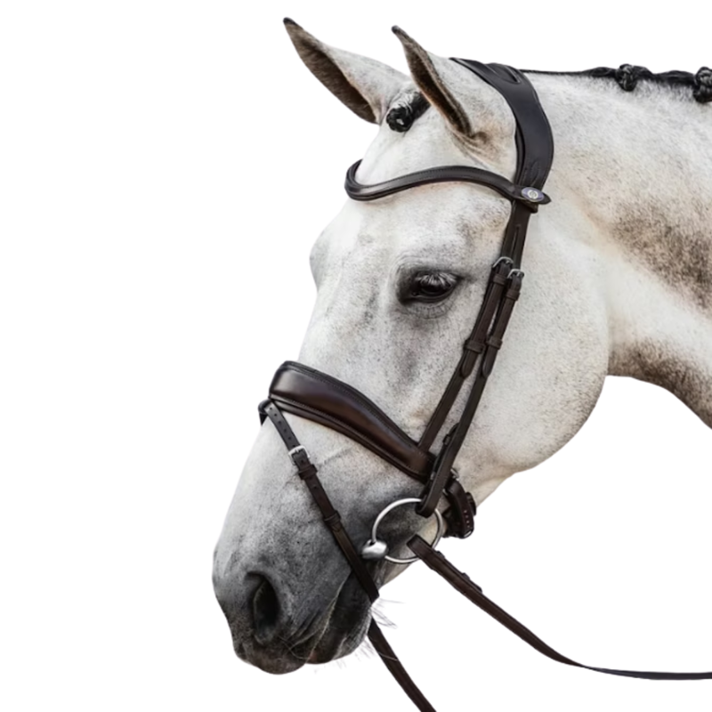 PS Of Sweden Flying Change Noseband - Cob - Brown-1