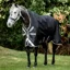 Horseware Amigo Bravo 12 Wug Light 0g Turnout Rug - Black/Titanium Grey Silver