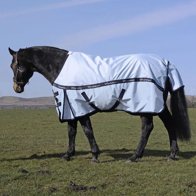 John Whitaker Pudsey 0g Turnout Rug - Blue